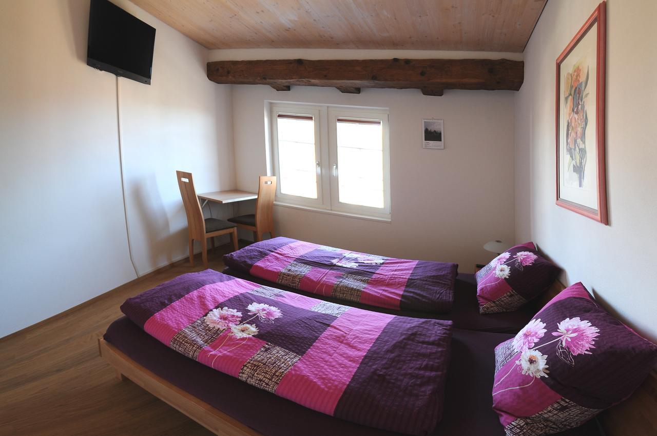 Bed And Breakfast Wegmann Andelfingen Dış mekan fotoğraf