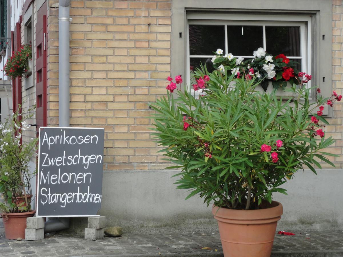 Bed And Breakfast Wegmann Andelfingen Dış mekan fotoğraf